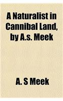 A Naturalist in Cannibal Land, by A.S. Meek