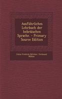 Ausfuhrliches Lehrbuch Der Hebraischen Sprache.