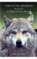Stone Messiahs - Book One - A Child of Two Worlds