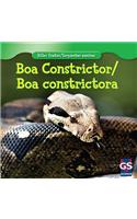 Boa Constrictor / Boa Constrictora