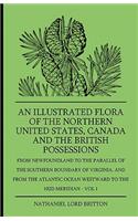 Illustrated Flora of the Northern United States, Canada and the British Possessions - From Newfoundland to the Parallel of the Southern Boundary of Virginla, and from the Atlantic Ocean Westward to the 102d Meridian - Vol 1