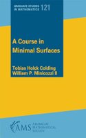 A Course in Minimal Surfaces (Graduate Studies in Mathematics)