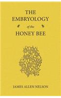 Embryology of the Honey Bee