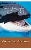Names for animals even if they are not pets