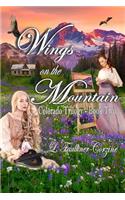 Wings on the Mountain: Colorado Trilogy - Book Two(2 Colorado Trilogy)