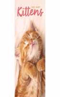 KITTENS SLIM DIARY 2021