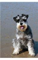 The Miniature Schnauzer Dog Journal: 150 Page Lined Notebook/Diary: 150 Page Lined Notebook/Diary