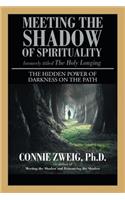 Meeting the Shadow of Spirituality