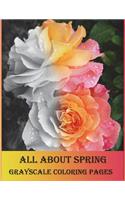 All about Spring Grayscale Coloring Pages