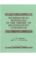 Mathematical Modelling in the Theory of Multivelocity Continuum