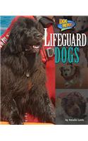 Lifeguard Dogs