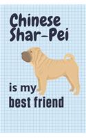 Chinese Shar-Pei is my best friend