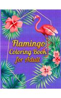 Flamingo Coloring Book for Adult