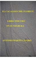 Cacalosuchil Florece. Libro Tercero