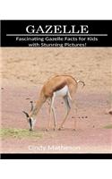 Gazelle: Fascinating Gazelle Facts for Kids with Stunning Pictures!
