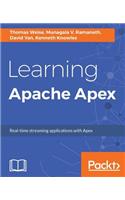 Learning Apache Apex
