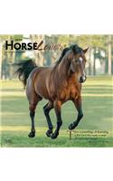 Horse Lovers 2020 Square Foil