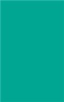 Persian Green 101 - Blank Notebook: 101 Pages, 5 x 8 Journal, Soft Cover