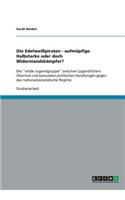 Die Edelweißpiraten - aufmüpfige Halbstarke oder doch Widerstandskämpfer?: Die wilde Jugendgruppe zwischen jugendlichem Übermut und bewussten politischen Handlungen gegen das nationalsozialistische Regime