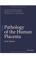 Pathology of the Human Placenta