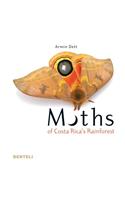 Moths of Costa Rica's Rainforest