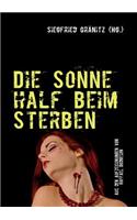 Sonne Half Beim Sterben