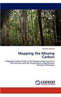 Mapping the Missing Carbon
