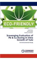 Scavenging Evaluation of Pb & Cu During In Vitro Growth of Tulsi
