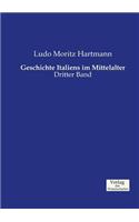 Geschichte Italiens im Mittelalter: Dritter Band