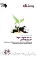 Leptospermum Laevigatum