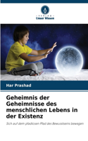 Geheimnis der Geheimnisse des menschlichen Lebens in der Existenz