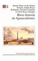 Breve Historia de Aguascalientes