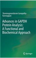 Advances in Gapdh Protein Analysis: A Functional and Biochemical Approach