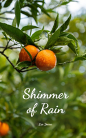 Shimmer of Rain