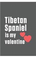 Tibetan Spaniel is my valentine: For Tibetan Spaniel Dog Fans