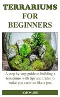 Terrariums for Beginners