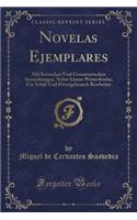 Novelas Ejemplares: Mit Kritischen Und Grammatischen Anmerkungen, Nebst Einem Wörterbuche; Für Schul-Und Privatgebrauch Bearbeitet (Classic Reprint)