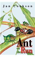 Ant on the Run: (English)
