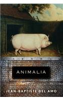 Animalia