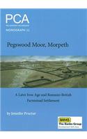 Pegswood Moor, Morpeth: A Later Iron Age and Romano-British Farmstead Settlement