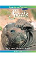 A Colony of Seals