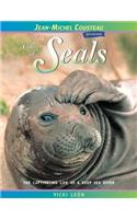 Colony of Seals