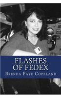 Flashes of FedEx: My Adventures at Federal Express