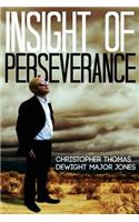 Insight Of Perseverance