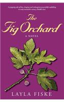 Fig Orchard