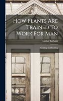How Plants Are Trained To Work For Man: Grafting And Budding