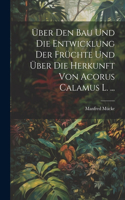 Über Den Bau Und Die Entwicklung Der Früchte Und Über Die Herkunft Von Acorus Calamus L. ...
