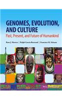 Genomes, Evolution, and Culture