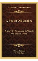 A Boy Of Old Quebec