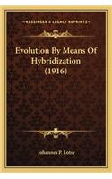 Evolution by Means of Hybridization (1916): (English)